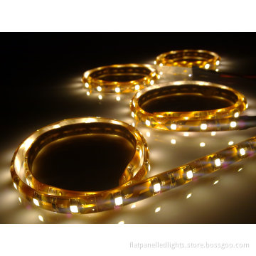 Outdoor Decoration Lighting Waterproof Flexible Led Rope Light With 30 Leds 5050smd